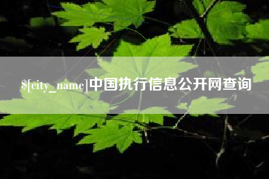 河南中国执行信息公开网查询