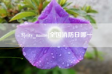 河南全国消防日哪一