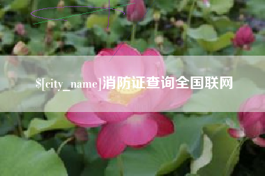 河南消防证查询全国联网