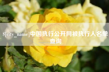 河南中国执行公开网被执行人名单查询