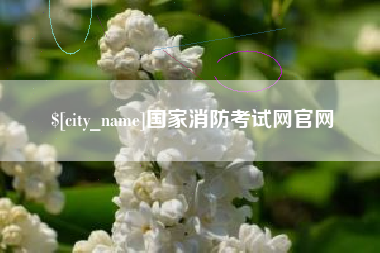 河南国家消防考试网官网
