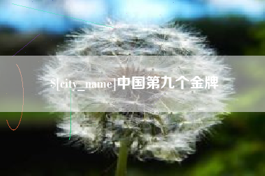 河南中国第九个金牌