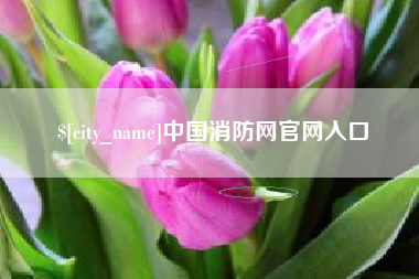 河南中国消防网官网入口