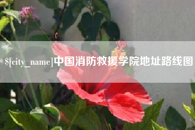 河南中国消防救援学院地址路线图