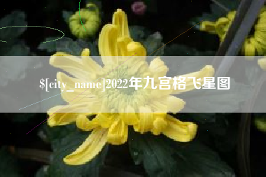 河南2022年九宫格飞星图