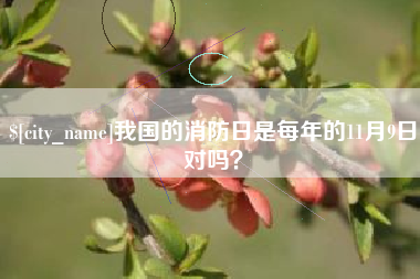 河南我国的消防日是每年的11月9日对吗？