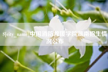 河南中国消防救援学院湖南招生情况公布