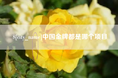 河南中国金牌都是哪个项目
