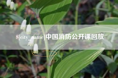 河南中国消防公开课回放