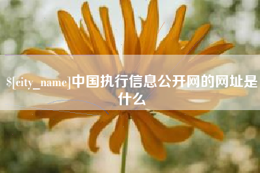 河南中国执行信息公开网的网址是什么