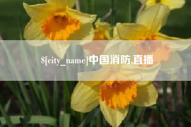 河南中国消防,直播