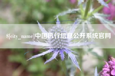 河南中国执行信息公开系统官网