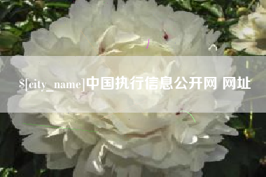 河南中国执行信息公开网 网址