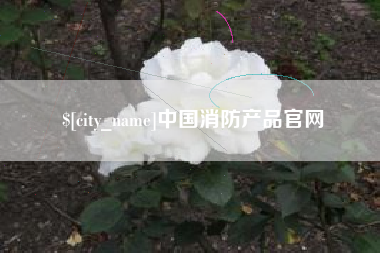 河南中国消防产品官网
