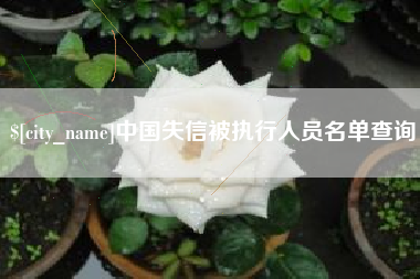 河南中国失信被执行人员名单查询