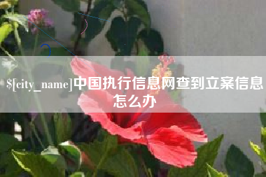 河南中国执行信息网查到立案信息怎么办