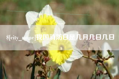 河南我国消防日是几月几日几日