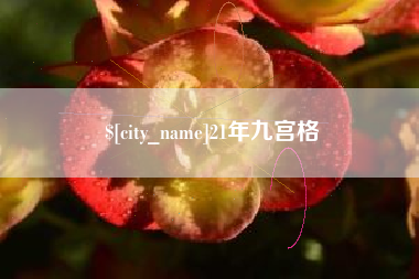 河南21年九宫格