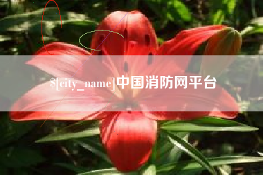 河南中国消防网平台