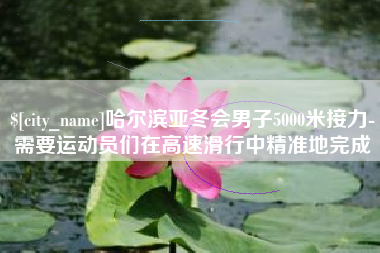河南哈尔滨亚冬会男子5000米接力-需要运动员们在高速滑行中精准地完成