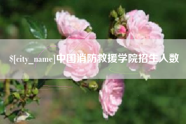 河南中国消防救援学院招生人数