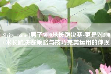 河南男子5000米长跑决赛-更是对5000米长跑决赛策略与技巧完美运用的体现