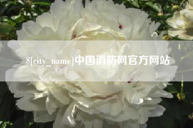 河南中国消防网官方网站