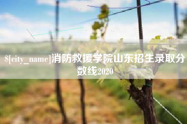 河南消防救援学院山东招生录取分数线2020