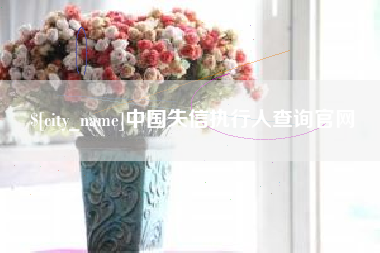 河南中国失信执行人查询官网