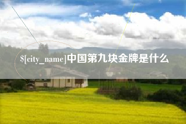 河南中国第九块金牌是什么