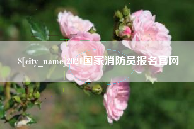 河南2021国家消防员报名官网