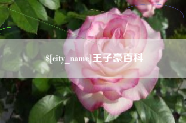 河南王子豪百科