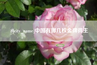 河南中国有哪几枚金牌得主