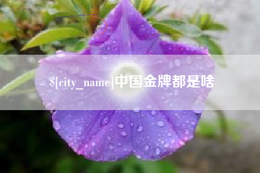 河南中国金牌都是啥