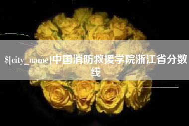 河南中国消防救援学院浙江省分数线