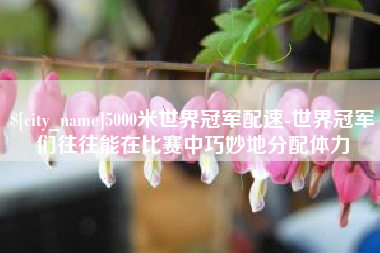 河南5000米世界冠军配速-世界冠军们往往能在比赛中巧妙地分配体力
