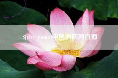河南中国消防网直播