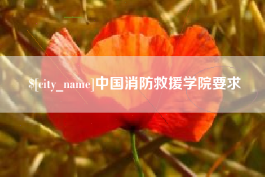 河南中国消防救援学院要求