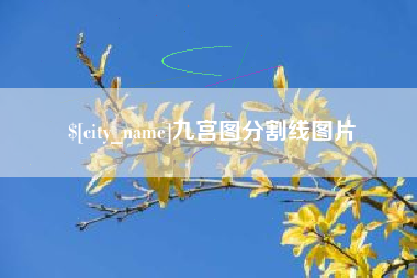 河南九宫图分割线图片