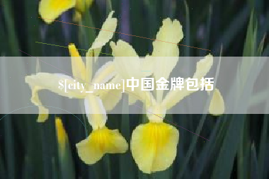 河南中国金牌包括