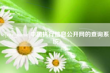 河南中国执行信息公开网的查询系统