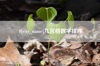 河南九宫格数字排序