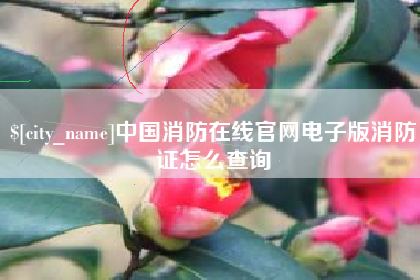 河南中国消防在线官网电子版消防证怎么查询