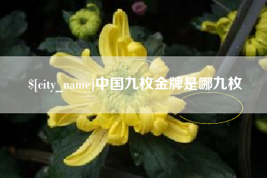 河南中国九枚金牌是哪九枚