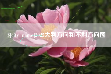 河南2025大利方向和不利方向图