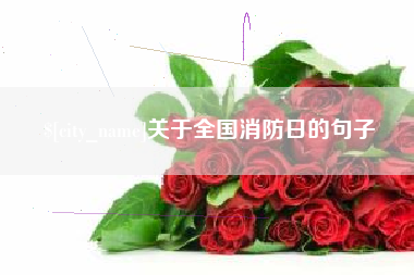 河南关于全国消防日的句子