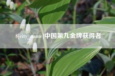 河南中国第九金牌获得者