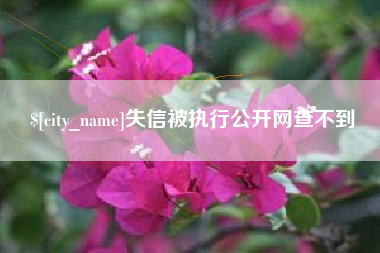 河南失信被执行公开网查不到
