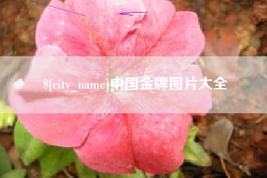 河南中国金牌图片大全