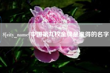 河南中国第九枚金牌是谁得的名字